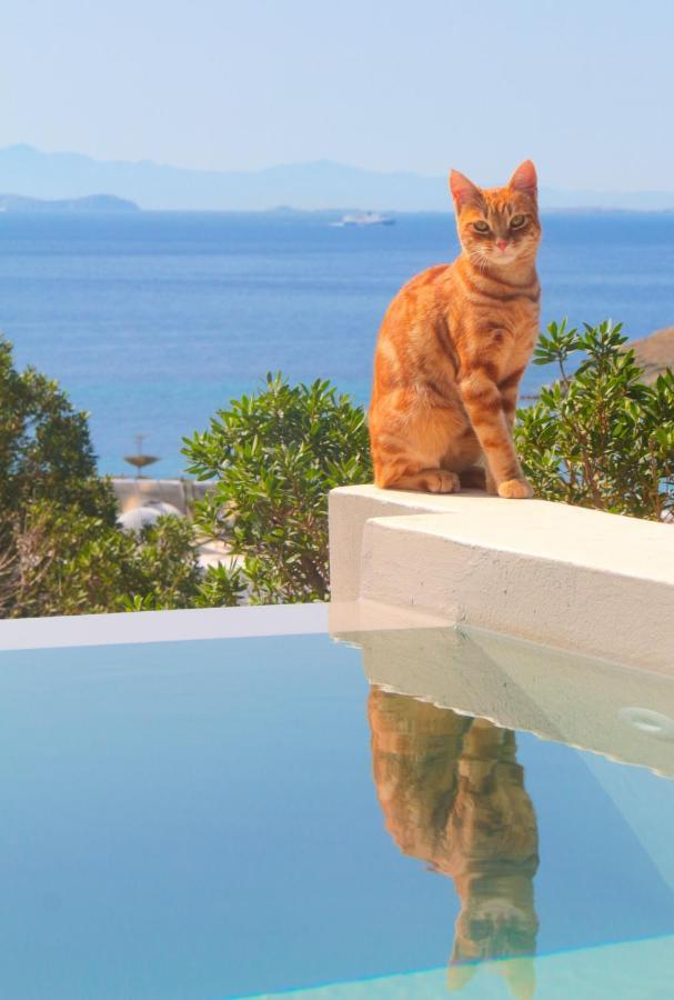 Villa With View Of Agios Ioannis And Pool With Jacuzzi Экстерьер фото